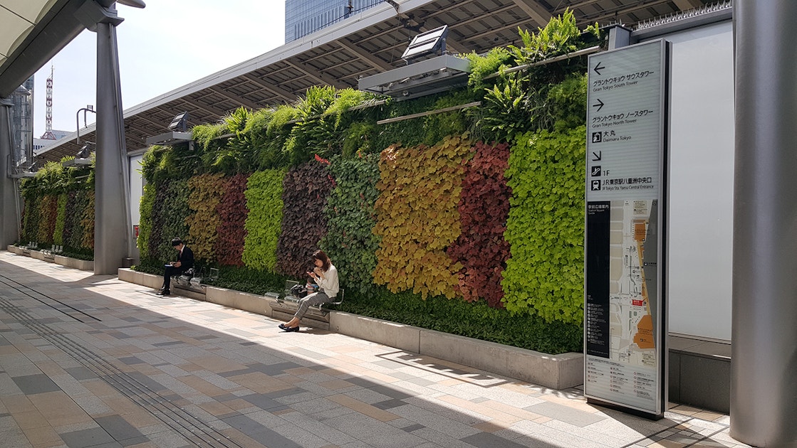 Tokyo Central Station Gp Plants